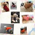 2-XS -Hiver Pet chien vêtements pour chien manteau à capuche chaud chiens animaux vêtements pour chiens Hoodies animaux tenues-1