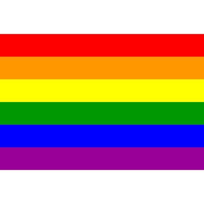 Anley Mini Drapeau Arc-en-Ciel Gay Pride 5x8 Pouces Avec Poteau - Couleurs Vives Et Résistant UV