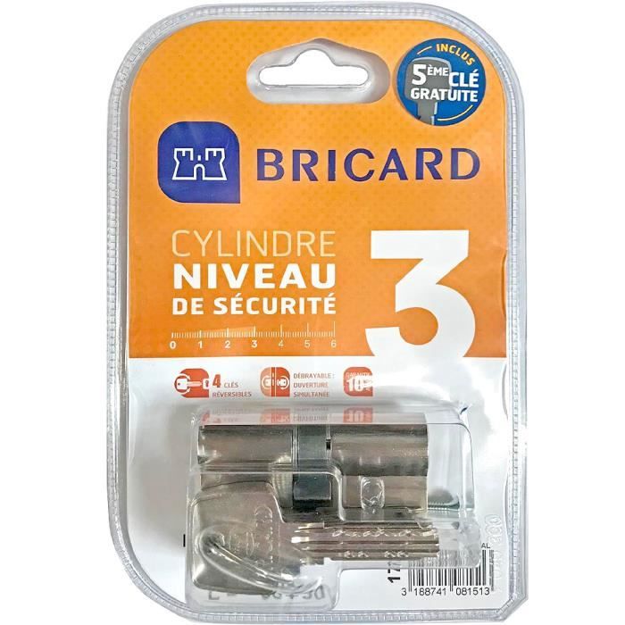 Lot de 2 cylindres de porte Bricard Astral 17152 débrayable 30+30 mm ...