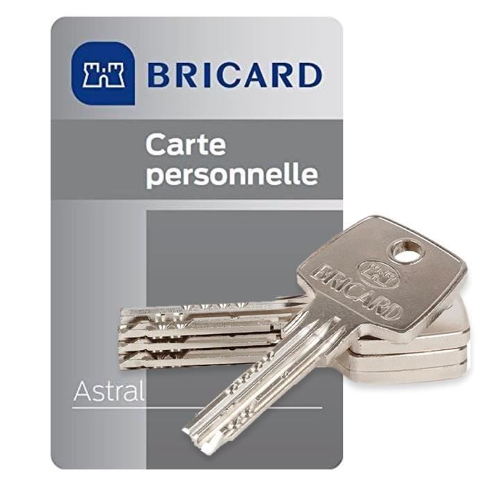 Lot de 2 cylindres de porte Bricard Astral 17152 débrayable 30+30 mm ...