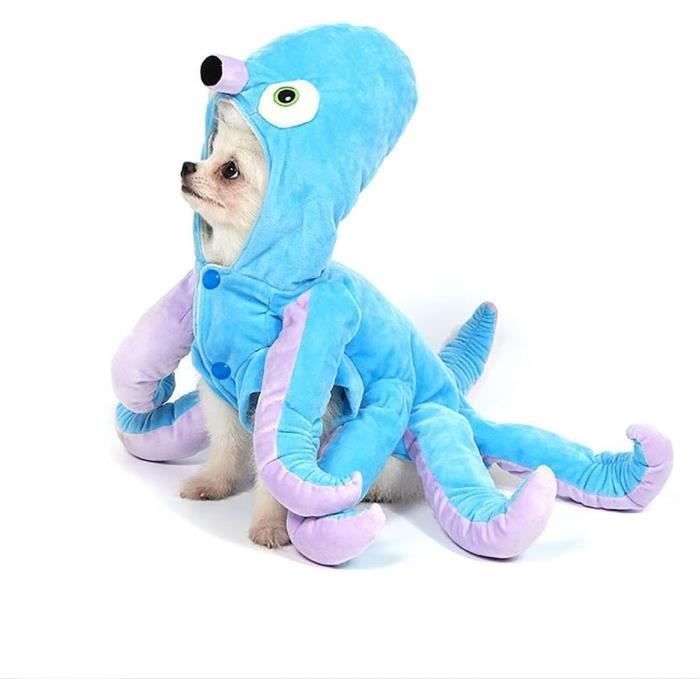 Chat Chien Costume De Religieuse, Drôle Religieuse Vêtements Outfit