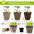 Paquet de 104 Pots de semis en Fibre biodégradables Ronds avec 20 étiquettes d'usine en Plastique - GOTOTOP-3