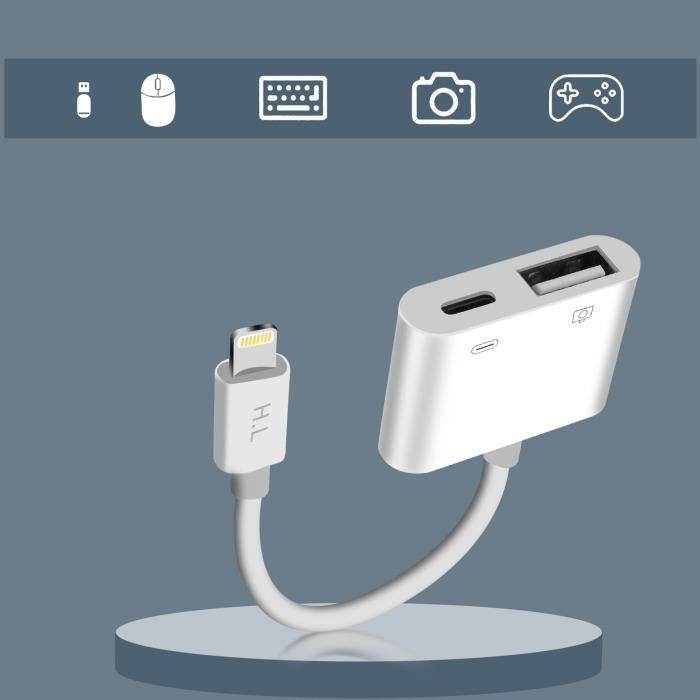 Adaptateur iPhone / iPad Lightning vers USB et Lightning Charge Compact  Blanc - Cdiscount Informatique
