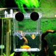 Mini Boîte de l'isolement Aquarium de reproduction des poissons Machins l'incubateur l'isolement d'acrylique-0