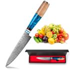 oFuun Couteau Universel 24.3 CM, Couteau de Cuisine Damas en Acier Japonais