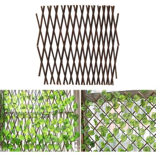 Treillis Extensible En Osier 80x120 Cm - Support Pour Plantes Grimpantes, Décoration Jardin - 6