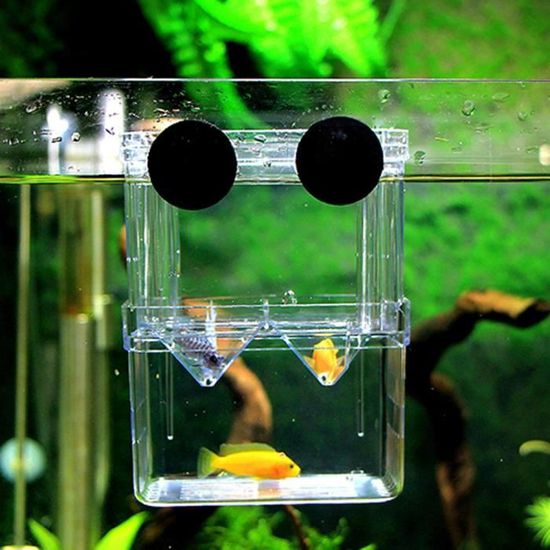 Mini Boîte de l'isolement Aquarium de reproduction des poissons Machins l'incubateur l'isolement d'acrylique