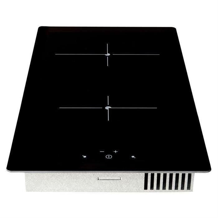 PLAQUE DOMINO VITROCERAMIQUE ENCASTRABLE TRES PERFORMANTE MEGA PROMO