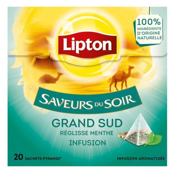 Infusion grand sud pyramide 20 sachets Lipton