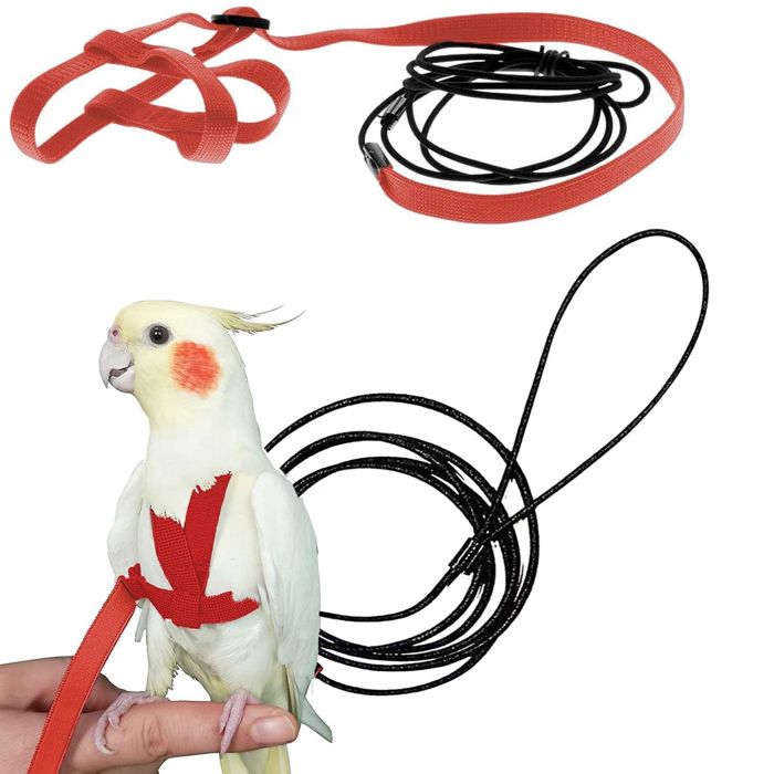 Harnais pour oiseaux - Gossfen - réglable conception anti-morsure adapté à lentraînement extérieur des perroquets petites perruch