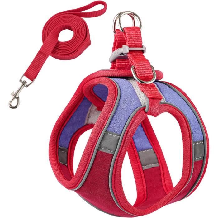 Harnais Réglable Pour Chat Ou Petit Chien - Confortable, Sécurisé Avec Boucle Anti-fuite - Laisse Incluse (120 Cm)