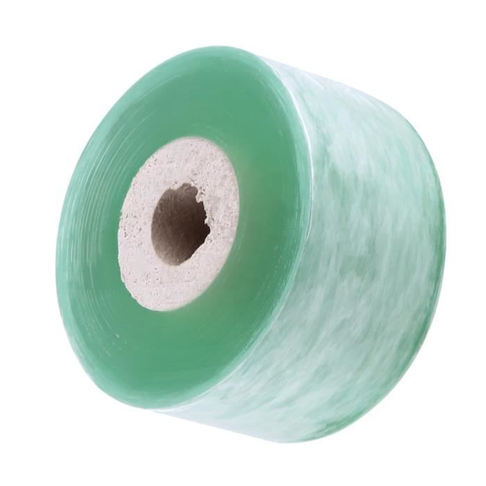 Greffe D'arbre Uitier Greffé Par Image De Ruban De Greffage | Photo