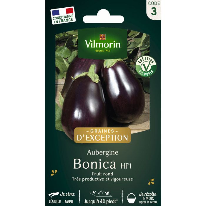Comparer les prix de Aubergine - VILMORIN - Bonica HF1 - Très productive - Vigoureuse - Tolerante aux maladies