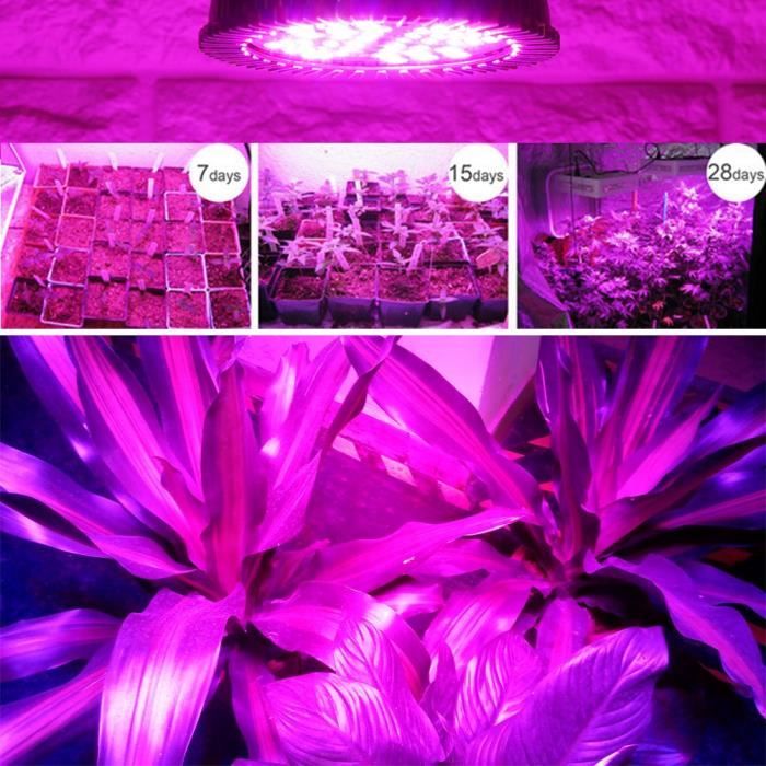 Lampe de culture hydroponique LED 48W E27 Full Spectrum pour plantes d'intérieur - ZERODIS