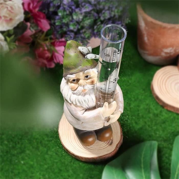 Nains de jardin pluviomètre - Statue GNOME - Décoration avec tube de  pluviomètre en verre - Sculpture GNOME peinte à la main [931] - Cdiscount  Jardin
