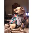 As Pic-XL -Manteau veste pour petits chiens | Vêtements pour chiens,épaissi chaud,mignon et amusant,Costume pour chien de compagn-2
