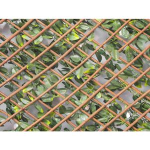 Treillage Décoratif Extensible En PVC – 1,00 X 2 M, Vert – Pour Plantes Grimpantes, Clôture, Balcon