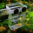 Mini Boîte de l'isolement Aquarium de reproduction des poissons Machins l'incubateur l'isolement d'acrylique-3