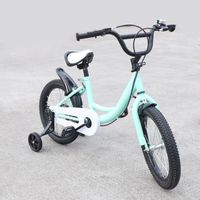 Vélo pour Enfant 16" - Vert - avec roue auxiliaire amovibles, Pneus en Caoutchouc, Siège réglable - Cadre en acier carbone