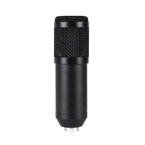 MICROPHONE Microphone - Kit de Microphone karaoké professionn