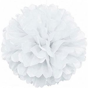 Blanc Boules de Nid dAbeille de Fleur Lanterne de D/éco pour Anniversaire//F/ête//Douche de B/éb/é//D/écoration//Mariage//Maison//Naissance//No/ël Lot de 15 Pompons en Papier de Soie Ext/érieure//Int/érieur