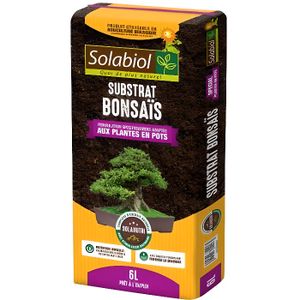 TERREAU - SABLE Terreau Bonsais - SOLABIOL - TERBON6 - Engrais Solunatri - 5 mois de nutrition
