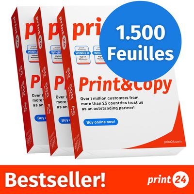 Papier A4 80g - Lot De 1000 Feuilles (2x500), Blancheur CIE 160, Certifié PEFC, Pour Imprimante/photocopieur