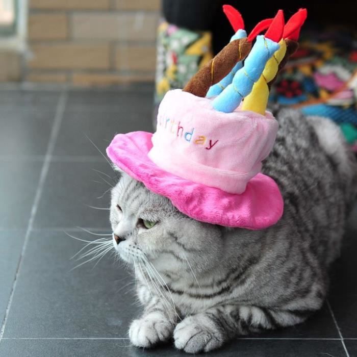 Chapeau d'anniversaire pour Chien Chat Pink