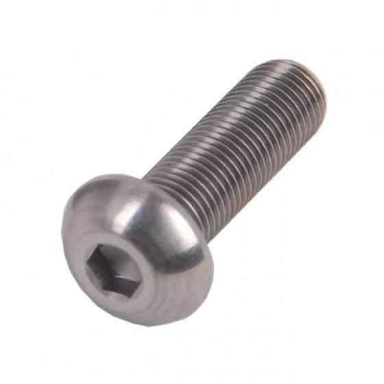 Bofix Allen tête de vis sphérique M6 x 20 mm pièces d'acier inoxydable de 25 (214291)