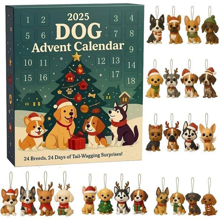 Set D'illustrations Du Calendrier De L'avènement De Noël | Vecteur Premium