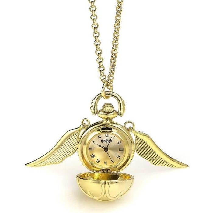 Pendentif - Harry Potter - 85 cm - Chaîne 66