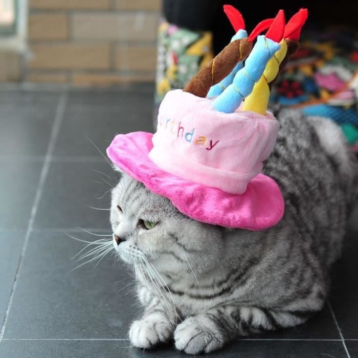 Chapeau D Anniversaire Pour Chien Chat Pink Achat Vente