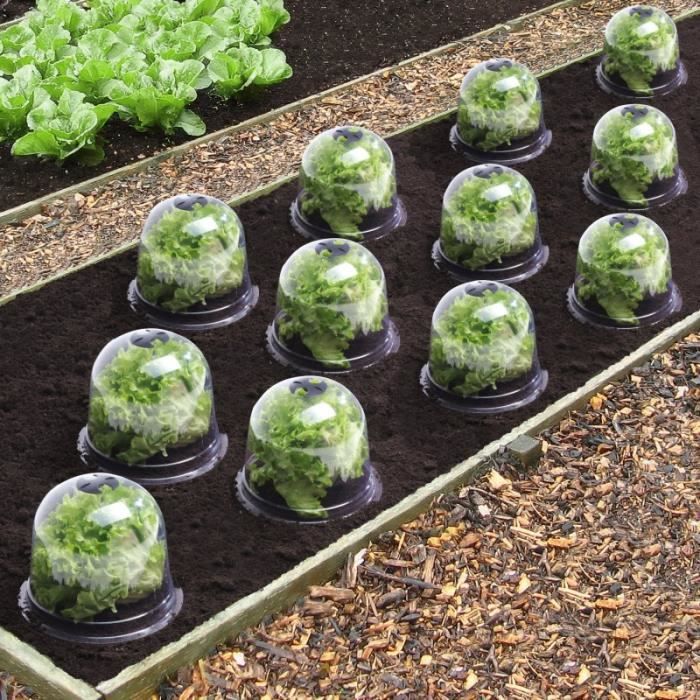 ID MARKET - Cloche à salades x12 serre de protection pour plants