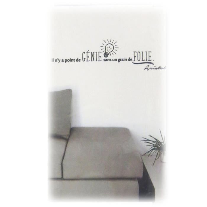 Planche De Stickers Citations Il N Y A Point De Genie Sans Un Grain De Folie Aristote 50x70 Cm P5285 Cdiscount Maison
