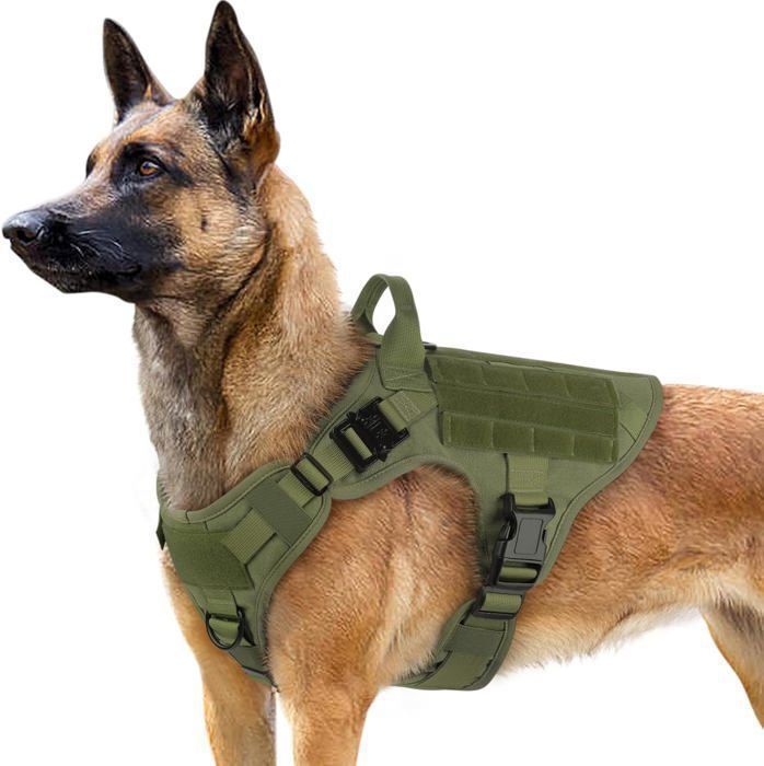 Meilleurs prix pour Rabbitgoo Harnais Chien Harnais Tactiques pour Chien-L Vert armée Réglable Résistante pour Randonnées et Chasse
