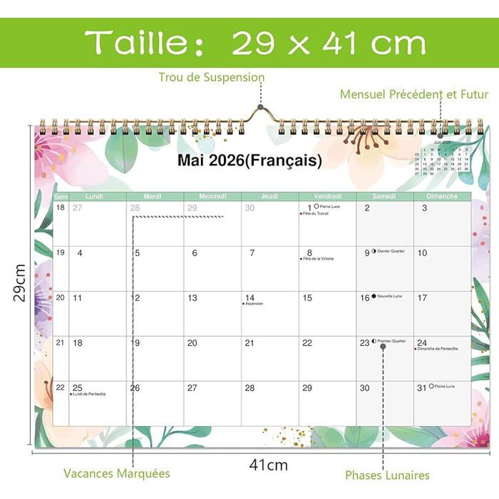 Calendrier Mural 2025 Bouvier Bernois – 16 Mois, Format Carré, Multilingue + Autocollants Offerts