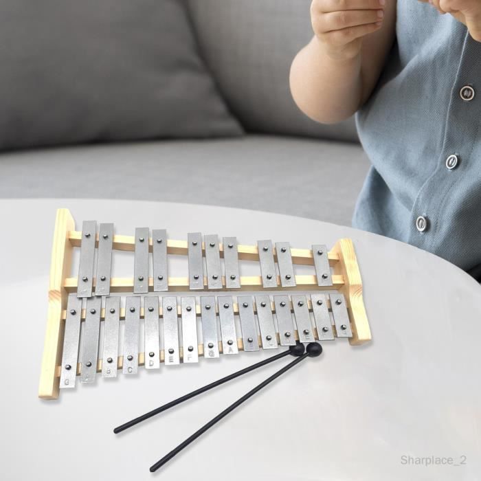 Xylophone professionnel portatif de Glockenspiel de 25 clés pour des  enfants adultes en aluminium - Cdiscount Instruments de musique