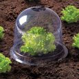 ID MARKET - Cloche à salades x12 serre de protection pour plants-2