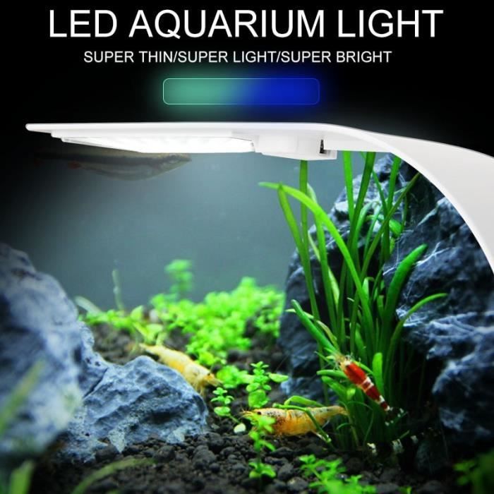Lampe LED Aquarium Pince USB Lumière Blanche et Bleue Angle réglable -  Cdiscount