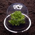 ID MARKET - Cloche à salades x12 serre de protection pour plants-3