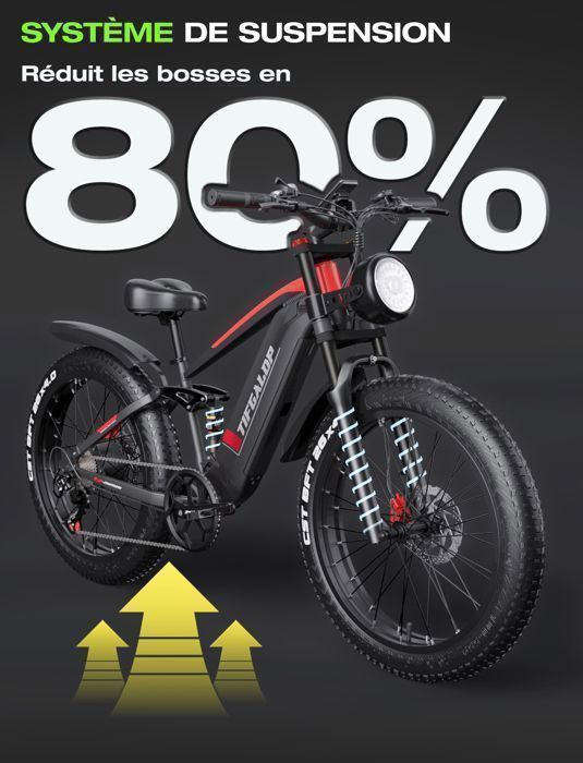 Velo electrique 1000W avec 33 MPH 60 Miles Range 26 x 4.0 Off Road Fat Tires Electric Bicycle Cdiscount Sport