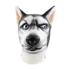 Deguisement Chien Halloween