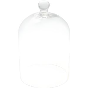 Cloche En Verre Transparent 15X24Cm