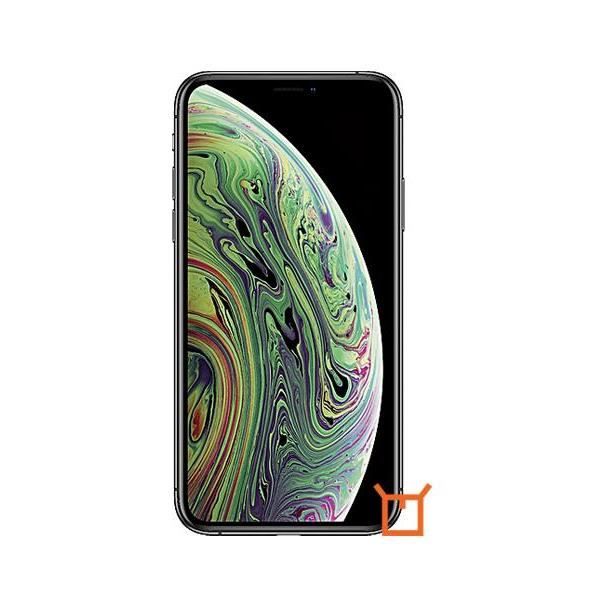 iPhone XS Dual eSIM 64GB Gris