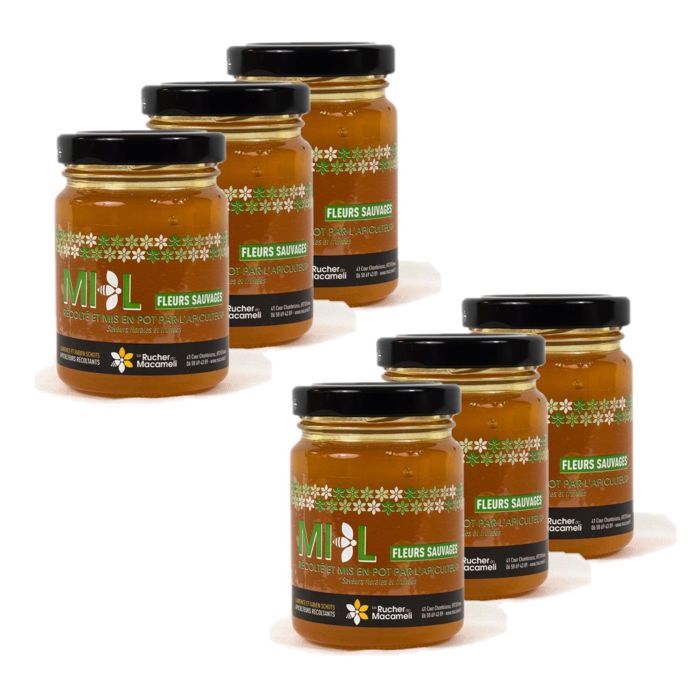 Lot 6x Miel de Fleurs Sauvages - Monts du Lyonnais - Rhône Alpes - Le Rucher de Macameli - pot 125g