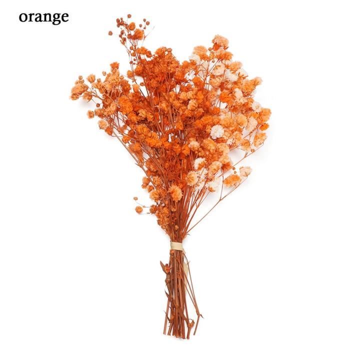 Décoration florale,Mini Bouquet de fleurs décoratives pour bébé,fleurs séchées,plantes naturelles,conservation - Type orange