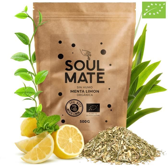 YERBA MATE BIO 1KG Yerba Maté Menthe Citron Vert Non Torréfié Sans Fumée 2x500g