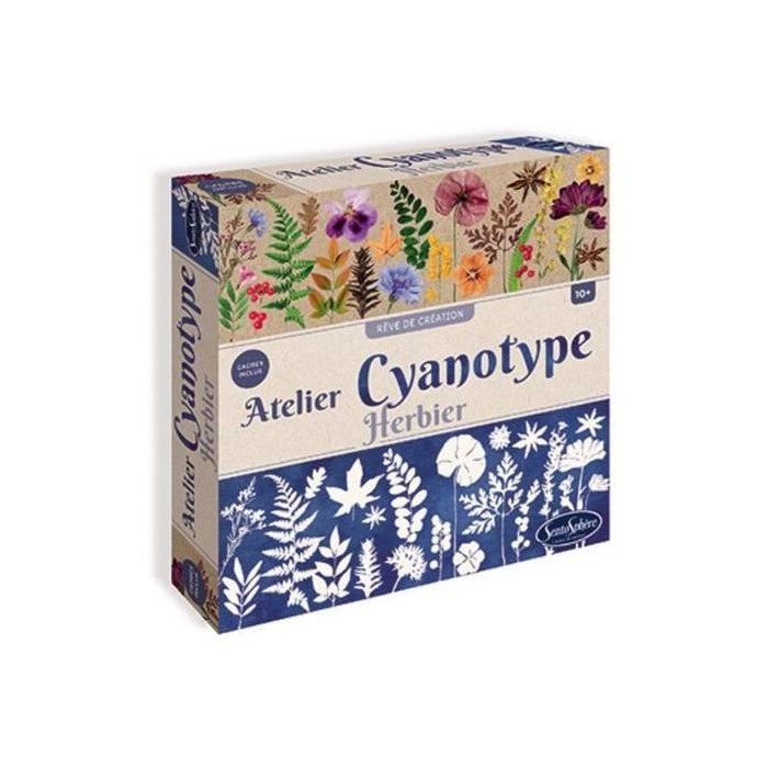 Jeu Créatif SentoSphère Atelier Cyanotype – Herbier - vue 2