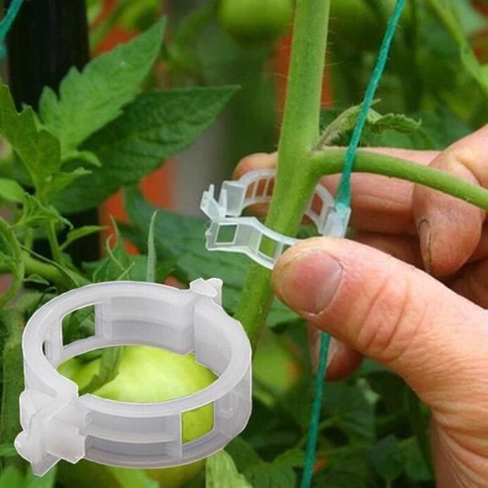 Tuteur - lien - attache,Support Anti-Rupture pour Tomates et Arbres Fruitiers,Branches de Jardin,Renforcer les [F123213785]
