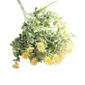 Faux Artificielles Fleurs Sauvages Chrysanthème Floral Bouquet De Mariage Home Decor At Dr091
